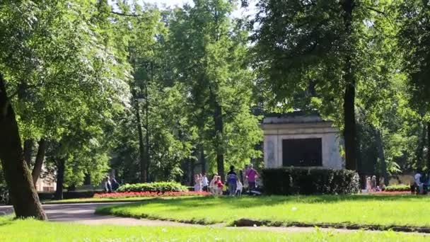 Αγία Πετρούπολη Ρωσία Ιουνίου 2019 Άνθρωποι Περπατούν Στο Πάρκο Την — Αρχείο Βίντεο