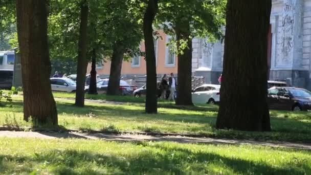 San Petersburg Rusia Junio 2019 Gente Está Caminando Por Parque — Vídeo de stock