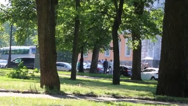 Saint Petersburg Russia June 2019 People Walking Park Daytime — Stock Video