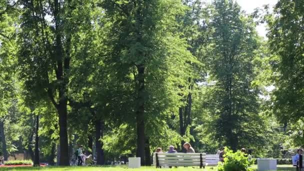 Saint Petersburg Russia June 2019 People Walking Park Daytime — Stock Video