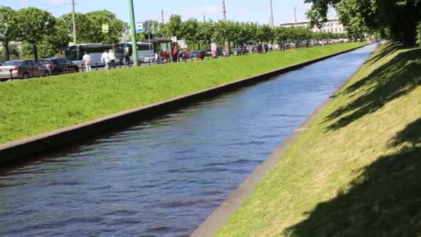 Sankt Petersburg Ryssland Juni 2019 Folk Går Parken Dagtid — Stockvideo