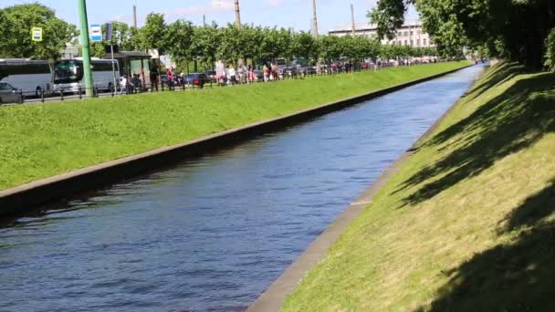 Saint Petersburg Russie Juin 2019 Les Gens Promènent Dans Parc — Video