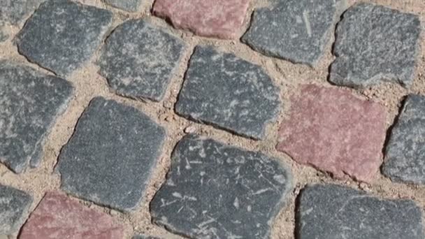 Видеозапись Текстурированного Фона Плиточных Камней — стоковое видео
