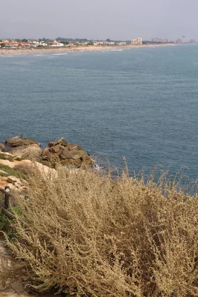 Mer Méditerranée Rochers Belle Plage Espagne — Photo