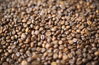 Kahve çekirdekleri testured arka plan bulanıklık. Defokus (veya seçili odak) kahve dokusu.