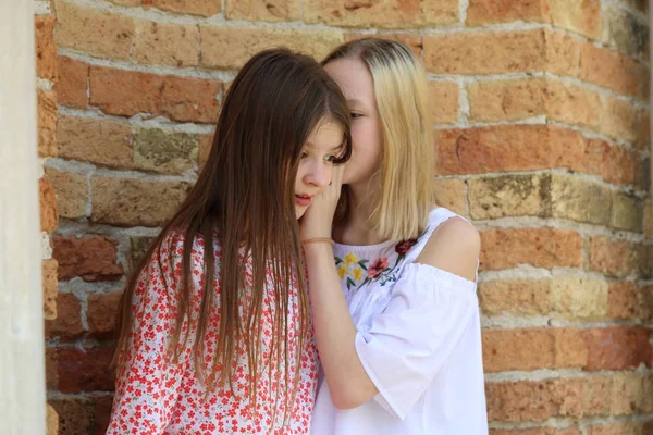 Hermosas Chicas Adolescentes Hablan Entre Aire Libre —  Fotos de Stock