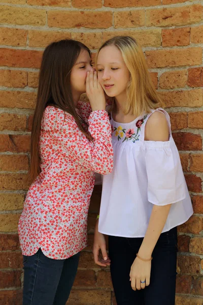 Hermosas Chicas Adolescentes Hablan Entre Aire Libre —  Fotos de Stock