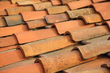 Floransa, İtalya - 24 Nisan, 2019: Floransa, İtalya'da güzel çatı kiremitleri