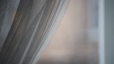 Fasulye bulanık arka planda. Defocus (ya da seçili odak) kahve dokusu. 