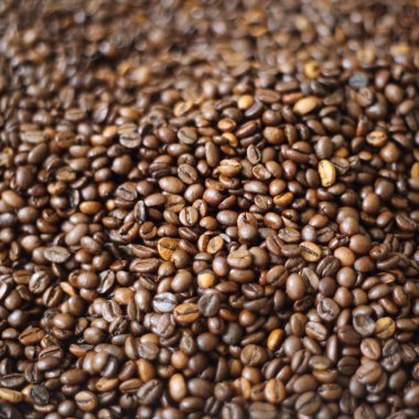 Fasulye bulanık arka planda. Defocus (ya da seçili odak) kahve dokusu. 