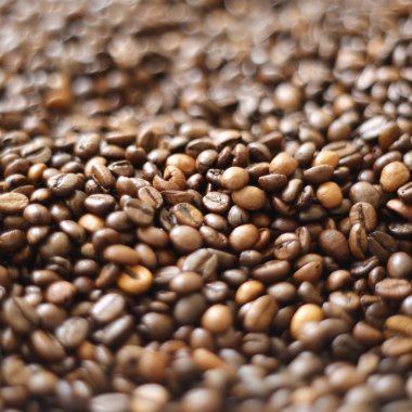 Fasulye bulanık arka planda. Defocus (ya da seçili odak) kahve dokusu. 