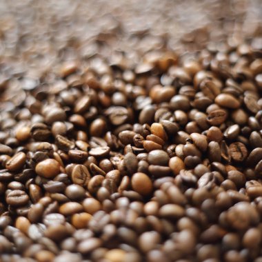 Fasulye bulanık arka planda. Defocus (ya da seçili odak) kahve dokusu. 