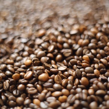 Fasulye bulanık arka planda. Defocus (ya da seçili odak) kahve dokusu. 