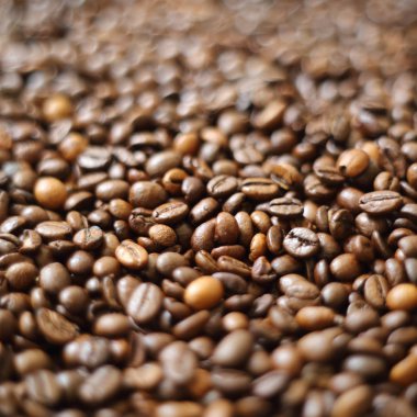 Fasulye bulanık arka planda. Defocus (ya da seçili odak) kahve dokusu. 