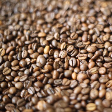 Fasulye bulanık arka planda. Defocus (ya da seçili odak) kahve dokusu. 