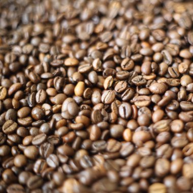 Fasulye bulanık arka planda. Defocus (ya da seçili odak) kahve dokusu. 