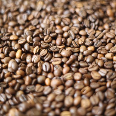 Fasulye bulanık arka planda. Defocus (ya da seçili odak) kahve dokusu. 