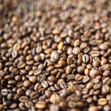 Fasulye bulanık arka planda. Defocus (ya da seçili odak) kahve dokusu. 