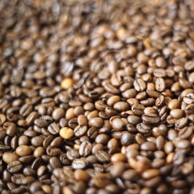 Fasulye bulanık arka planda. Defocus (ya da seçili odak) kahve dokusu. 