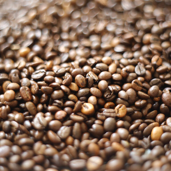 offee beans blur testured background. Defocus (or selected focus) coffee texture. 