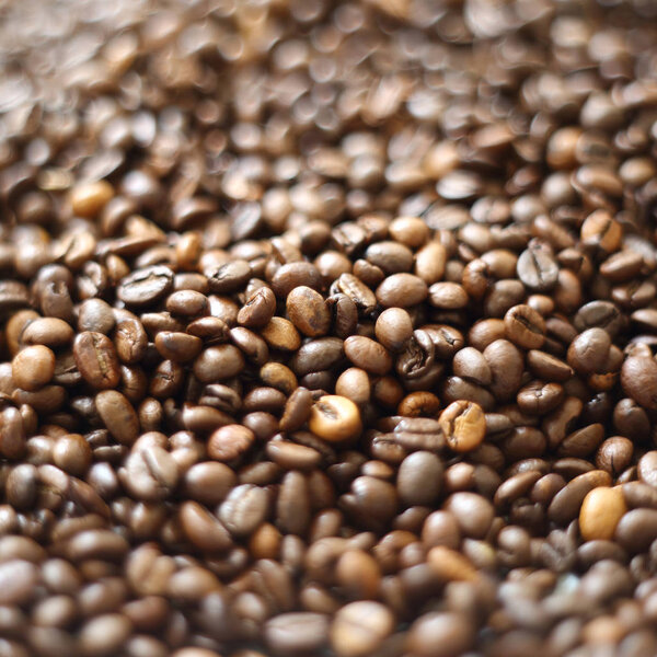 offee beans blur testured background. Defocus (or selected focus) coffee texture. 