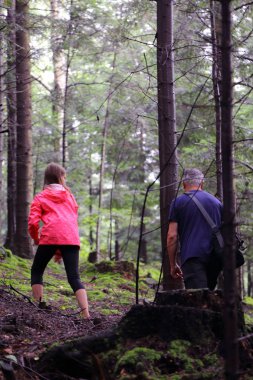 Polonya, Rymanuv Zdruj 'da güzel bir orman.