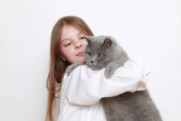 Menina Bonita Gato — Fotografia de Stock