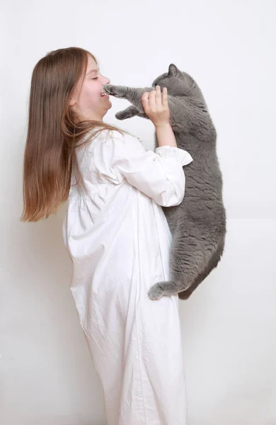 Menina Bonita Gato — Fotografia de Stock