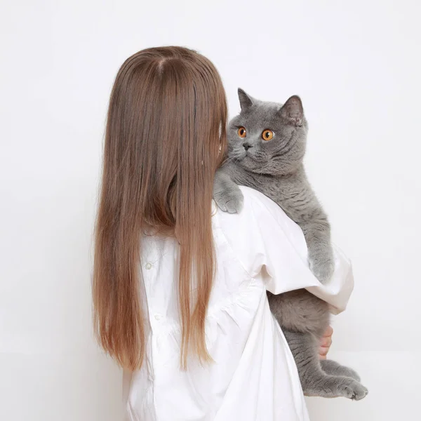 Vacker Liten Flicka Och Katt — Stockfoto