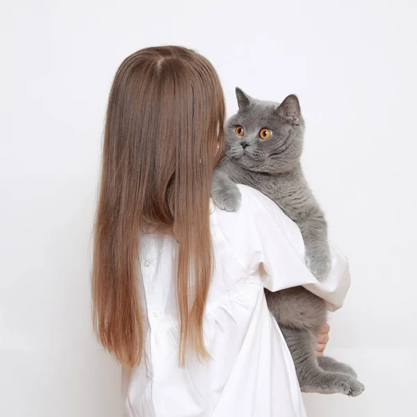 Beautiful Little Girl Cat — Stock Photo, Image