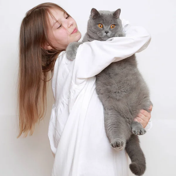 Beautiful Little Girl Cat — Stock Photo, Image