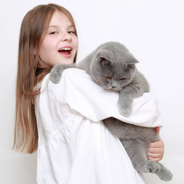 Красива Маленька Дівчинка Кіт — стокове фото