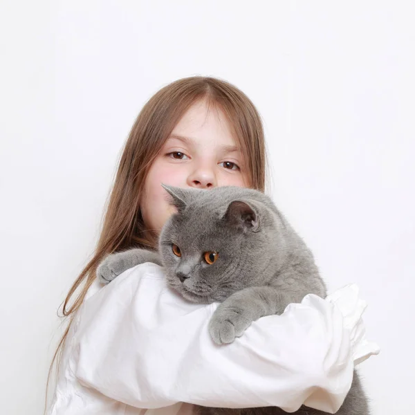 Vacker Liten Flicka Och Katt — Stockfoto