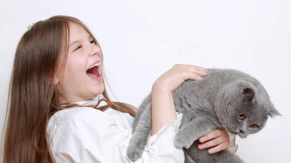 Vacker Liten Flicka Och Katt — Stockfoto