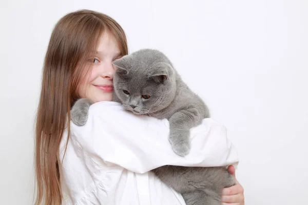 Beautiful Little Girl Cat — Stock Photo, Image