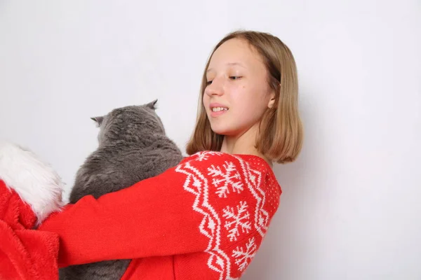 Χαριτωμένο Κορίτσι Και Γάτα — Φωτογραφία Αρχείου