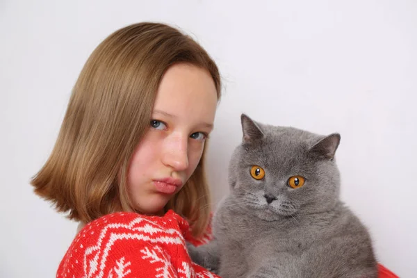 讨厌的少女和猫 — 图库照片
