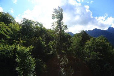 Gündüz dağlarda orman, Olimpiyat köyünden manzara, Sochi, Rusya Federasyonu