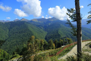 Dağlarda yeşil ağaçlar, Olimpiyat köyünden manzara, Sochi, Rusya Federasyonu