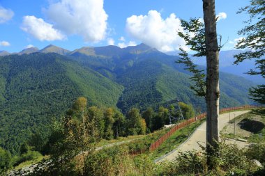 Dağlarda yeşil ağaçlar, Olimpiyat köyünden manzara, Sochi, Rusya Federasyonu