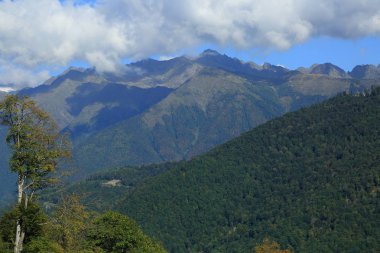 Dağlarda yeşil ağaçlar, Olimpiyat köyünden manzara, Sochi, Rusya Federasyonu