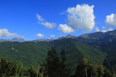 Dağlarda yeşil ağaçlar, Olimpiyat köyünden manzara, Sochi, Rusya Federasyonu