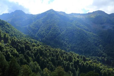 Dağlarda yeşil ağaçlar, Olimpiyat köyünden manzara, Sochi, Rusya Federasyonu