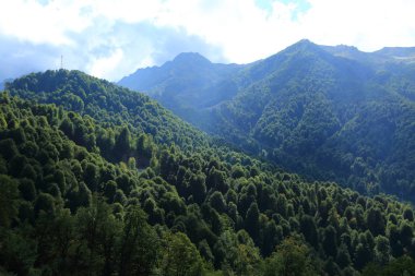 Dağlarda yeşil ağaçlar, Olimpiyat köyünden manzara, Sochi, Rusya Federasyonu