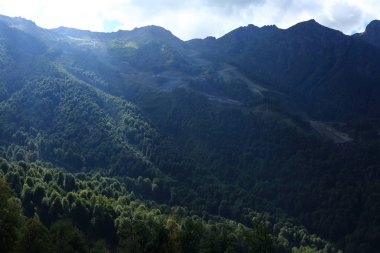 Dağlarda yeşil ağaçlar, Olimpiyat köyünden manzara, Sochi, Rusya Federasyonu