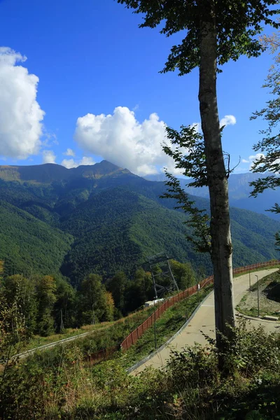 Árboles Verdes Las Montañas Vista Desde Pueblo Olímpico Sochi Federación — Foto de Stock