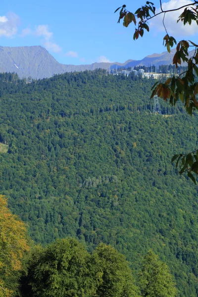 Alberi Verdi Montagna Veduta Dal Villaggio Olimpico Sochi Federazione Russa — Foto Stock