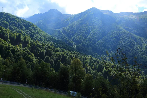 Árboles Verdes Las Montañas Vista Desde Pueblo Olímpico Sochi Federación — Foto de Stock