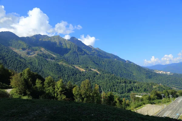 Tuberías Verdes Cerca Aldea Olímpica Sochi Federación Rusa — Foto de Stock