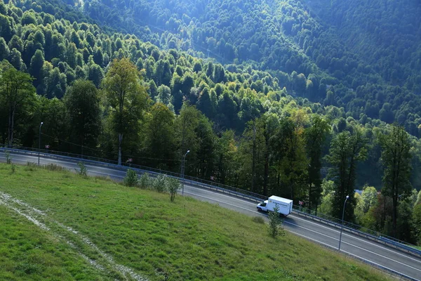 Camion Sur Route Dans Forêt Sotchi Fédération Russie — Photo